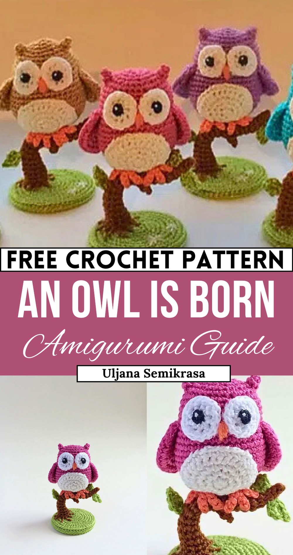 An Owl Is Born