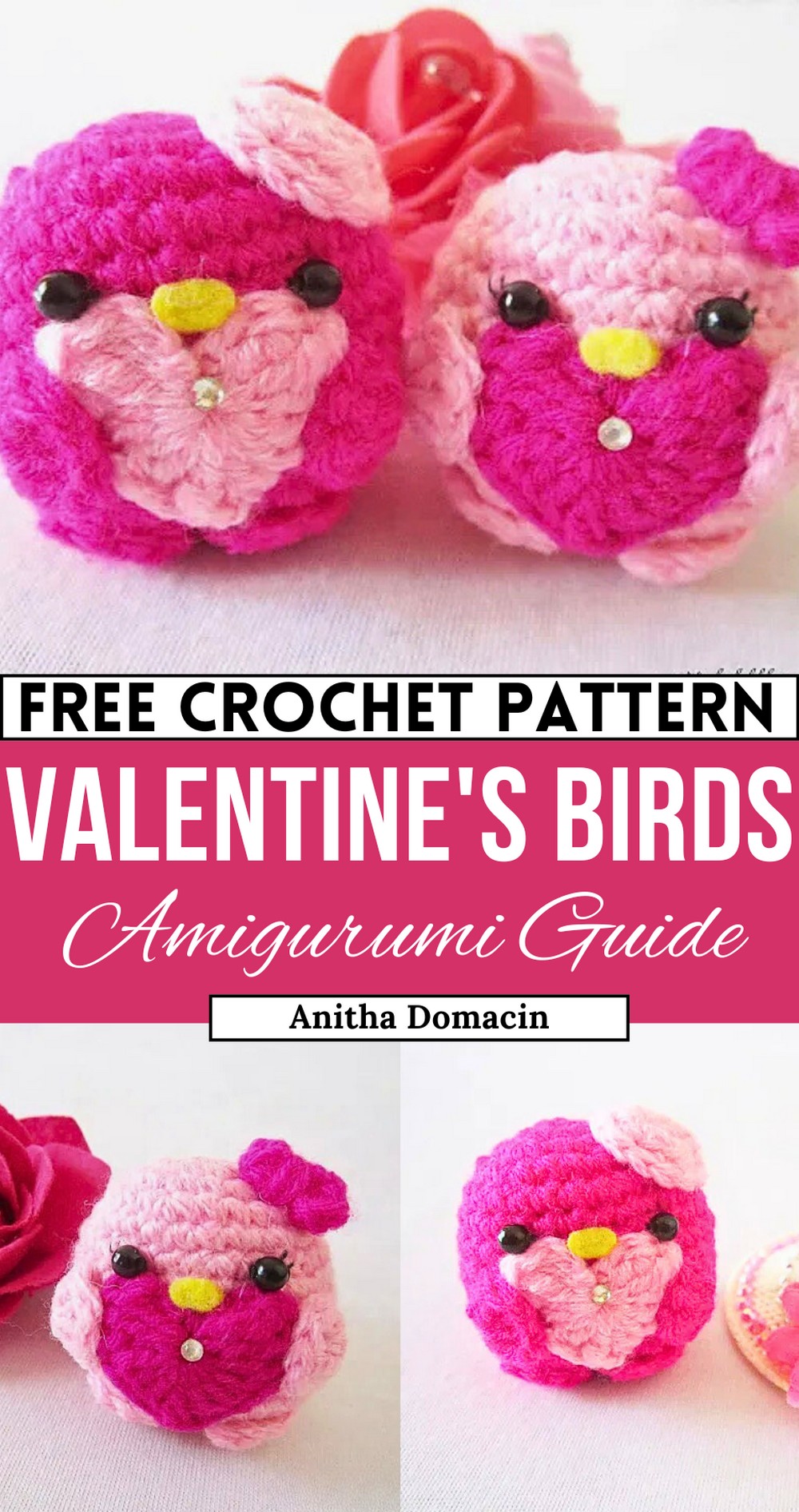 Valentine's Birds