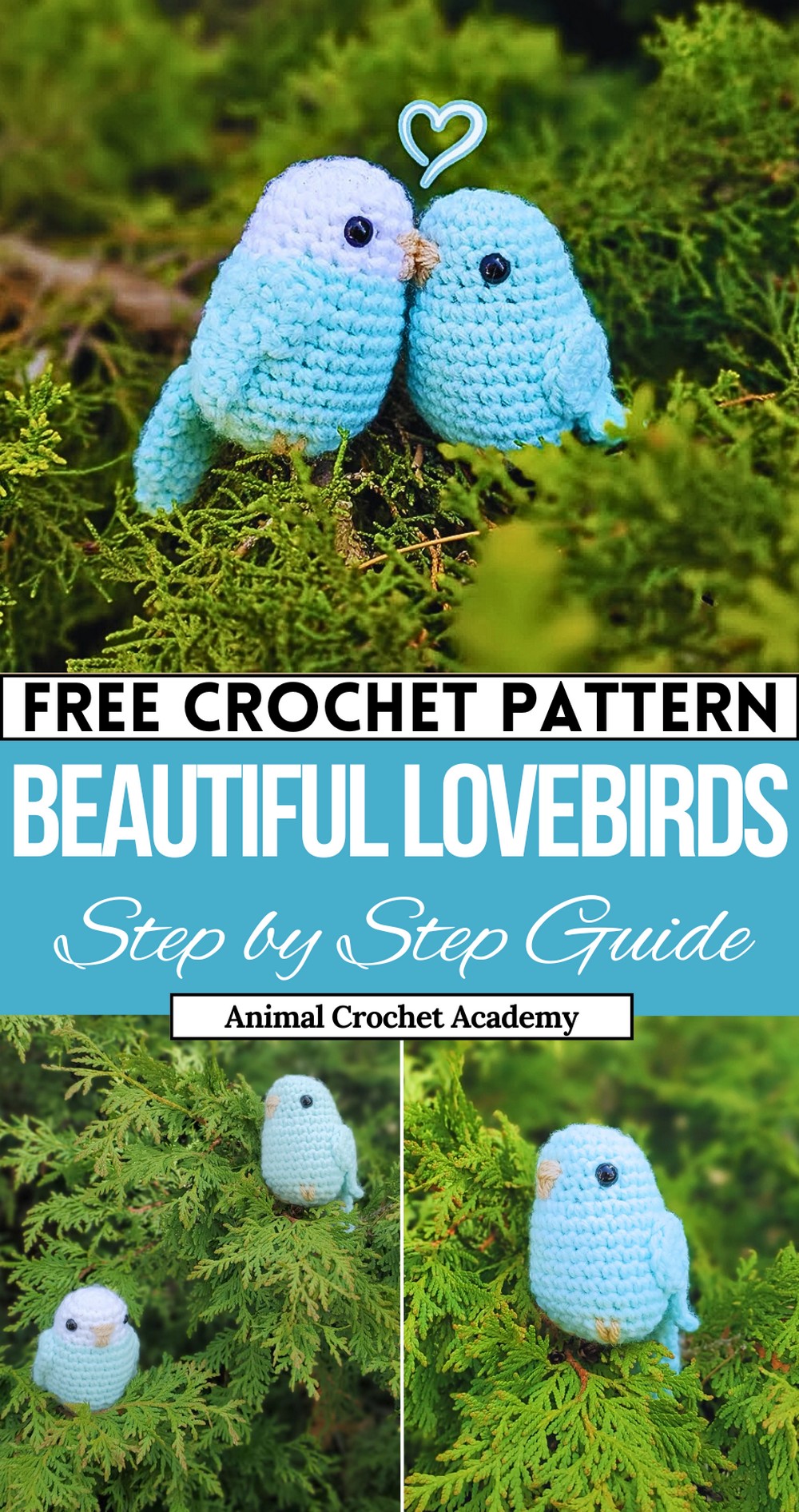 Crochet Beautiful Lovebirds Amigurumi Pattern