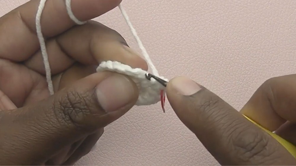 Crochet Bunny Amigurumi