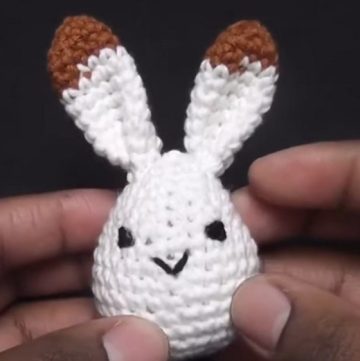 Crochet Bunny Easter Egg