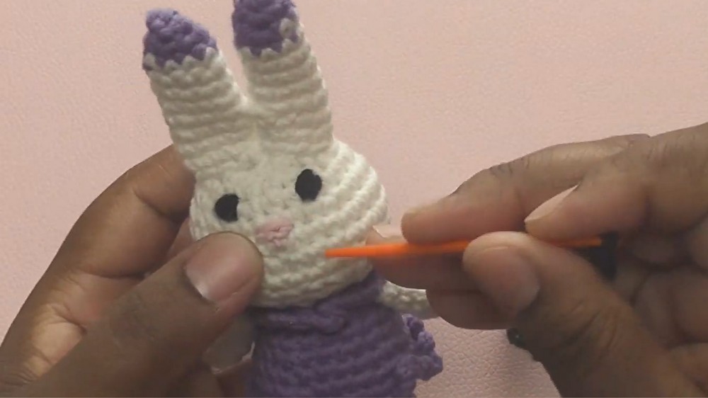 Crochet Bunny Amigurumi