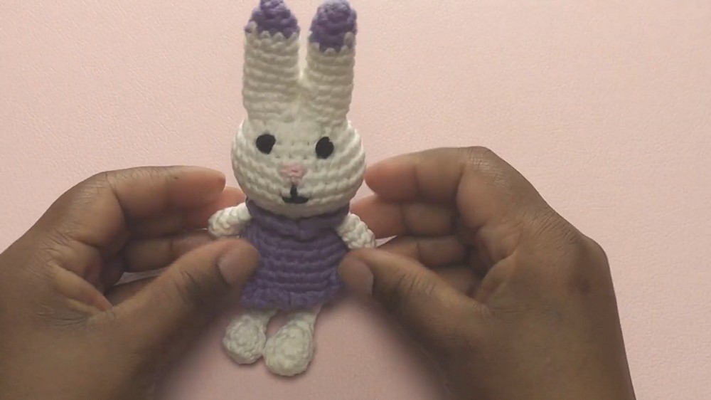 Crochet Bunny Amigurumi