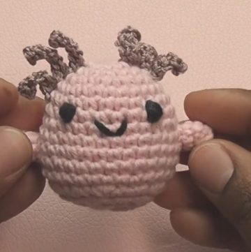 Crochet Axolotl Amigurumi
