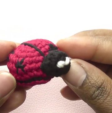 Crochet Ladybug Amigurumi