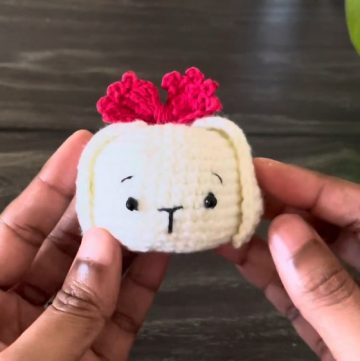 Crochet Bunny Amigurumi