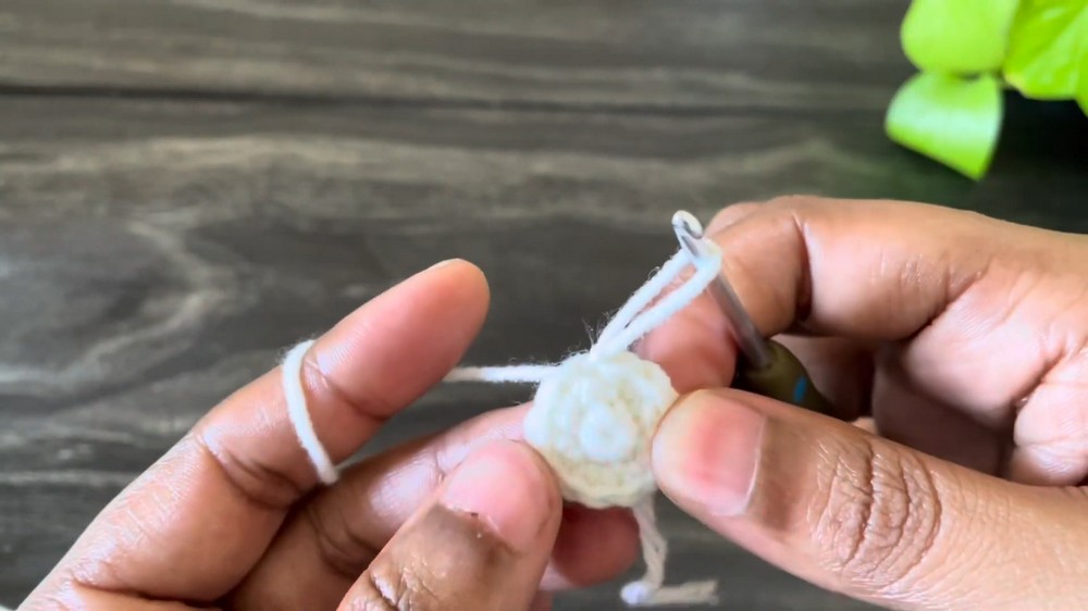 Crochet Bunny Amigurumi