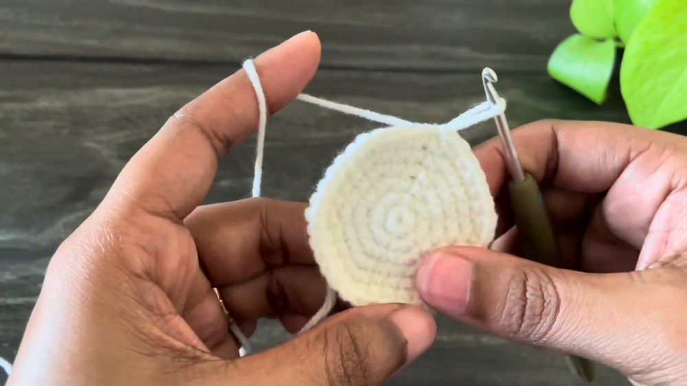 Crochet Bunny Amigurumi