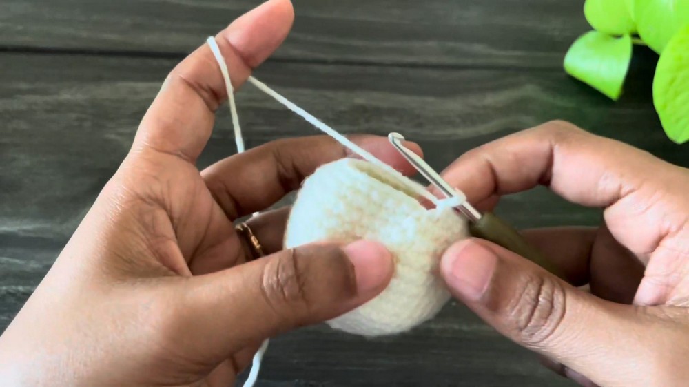 Crochet Bunny Amigurumi