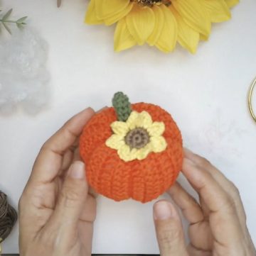 Crochet Pumpkin And Sunflower