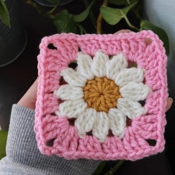Crochet Daisy Flower Granny