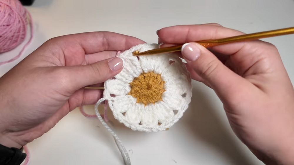 Crochet Daisy Flower Granny