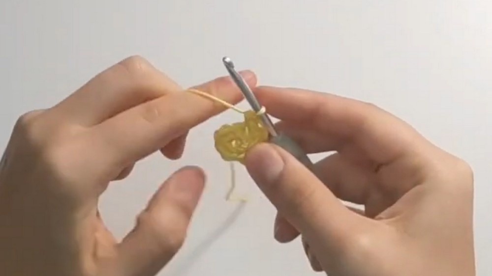 Crochet Daisy Granny Bag