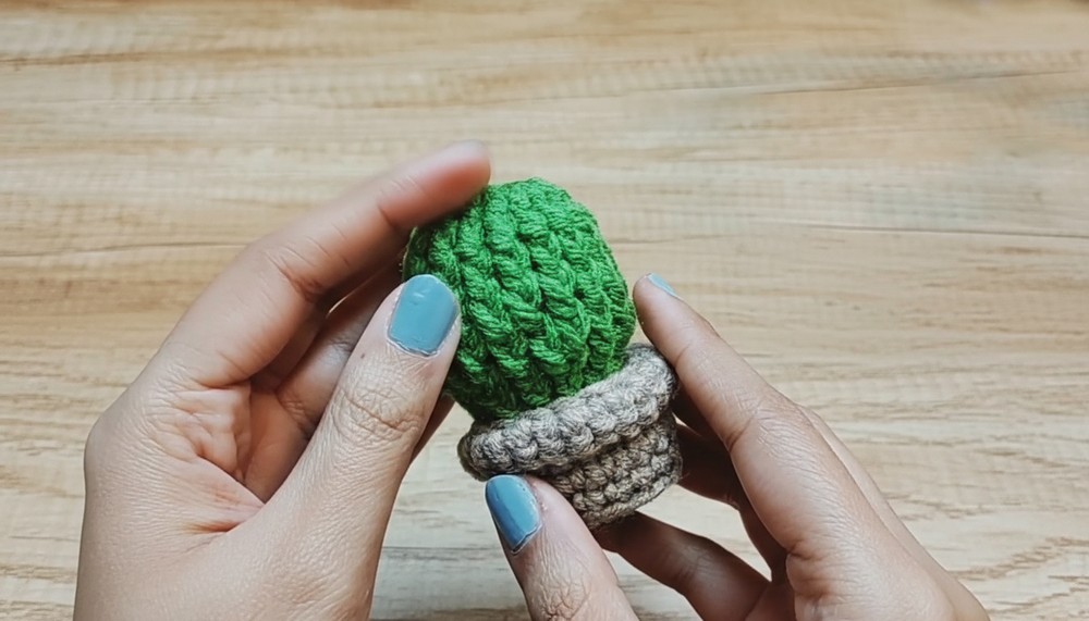 Crochet Mini Cactus A Pot