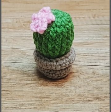 Crochet Mini Cactus A Pot