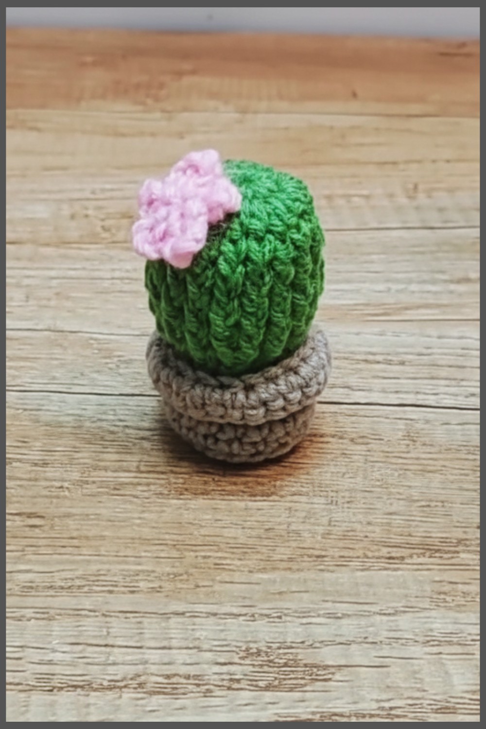 Crochet Mini Cactus A Pot