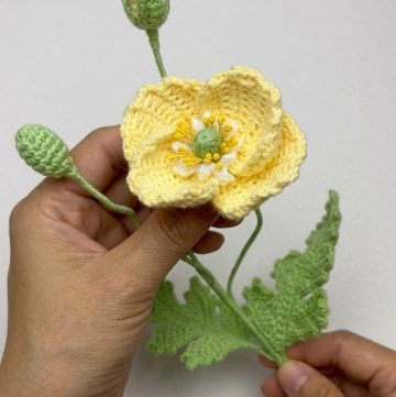 Crochet Poppy Flower Pattern