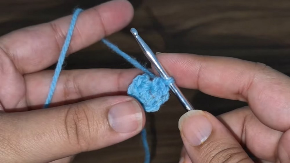 Crochet Fish Amigurumi