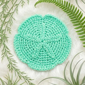 Crochet Sand Dollar Patern