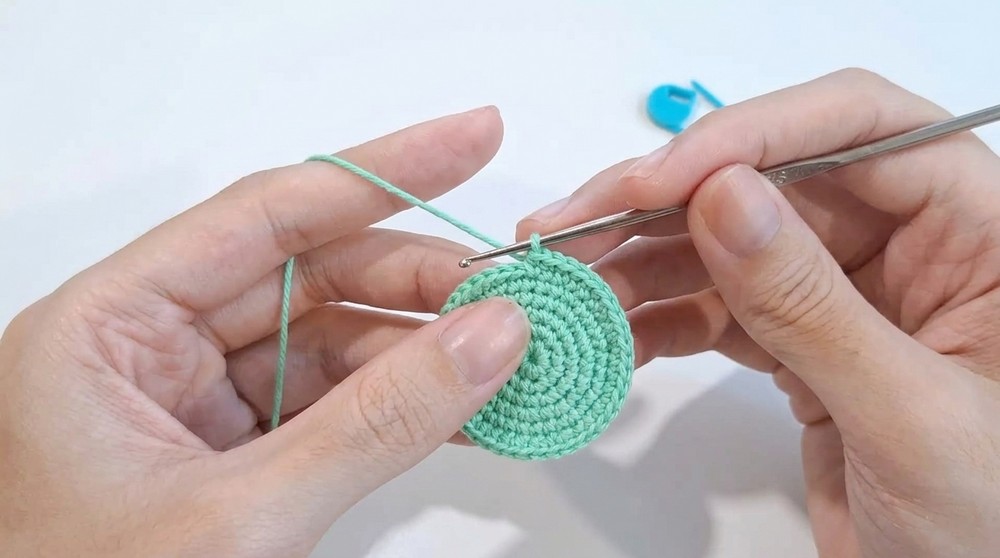 Crochet Sand Dollar Patern