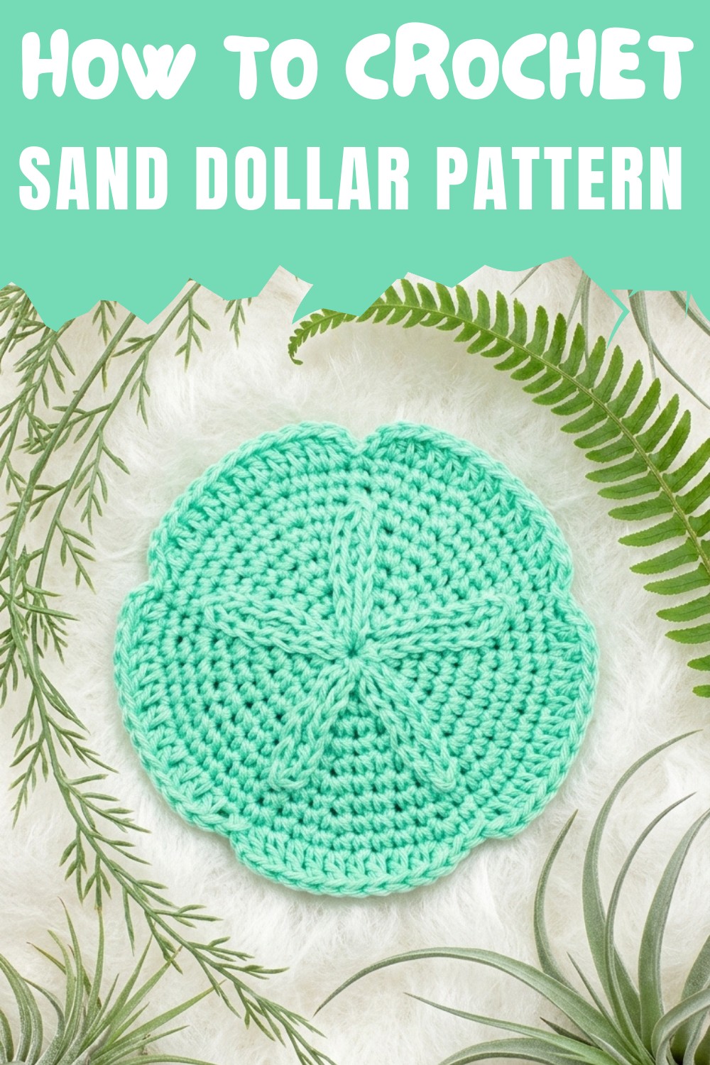 Crochet Sand Dollar Patern